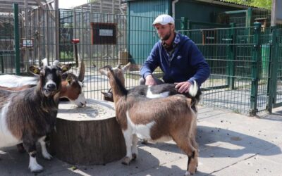 Corona-Lockerungen in Bassum: Tierpark, Spielplätze und Kleiderkammer öffnen