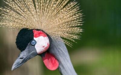 Der Tierpark hat wieder geöffnet